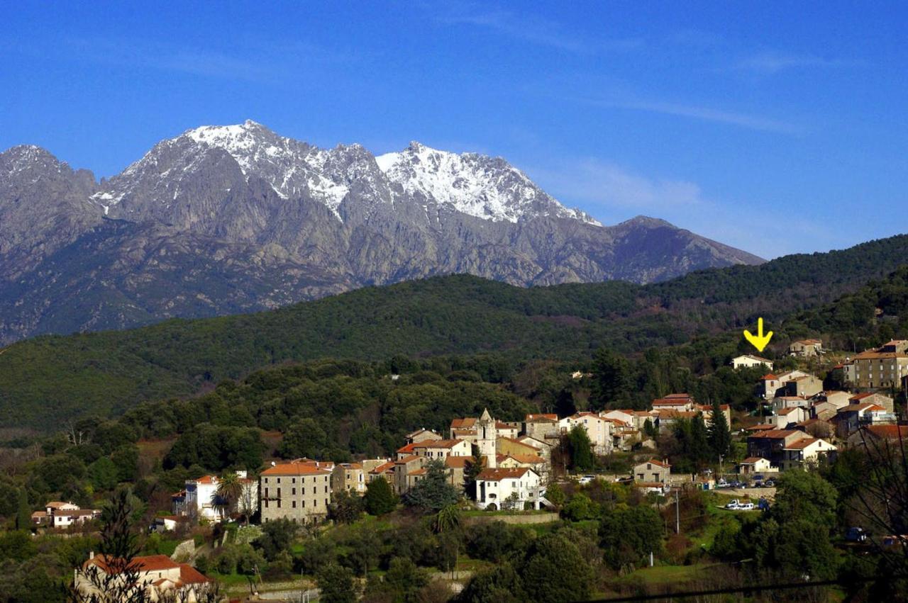 95M2 Au Calme A 25Mn Ajaccio, Plages, Linge Inclus Parking Ok Ucciani Luaran gambar