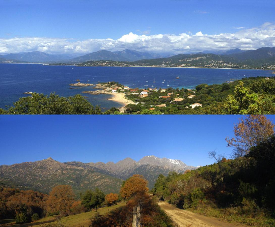 95M2 Au Calme A 25Mn Ajaccio, Plages, Linge Inclus Parking Ok Ucciani Luaran gambar